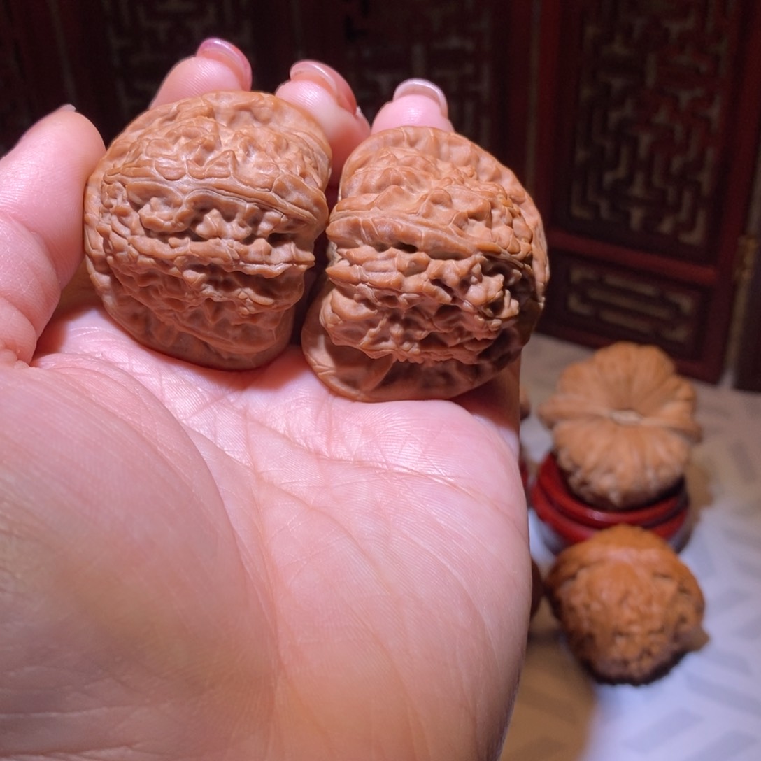 43全品三角白白狮子毕业饱满