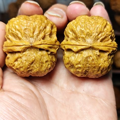 吊坠文玩核桃聚宝蟾（8）