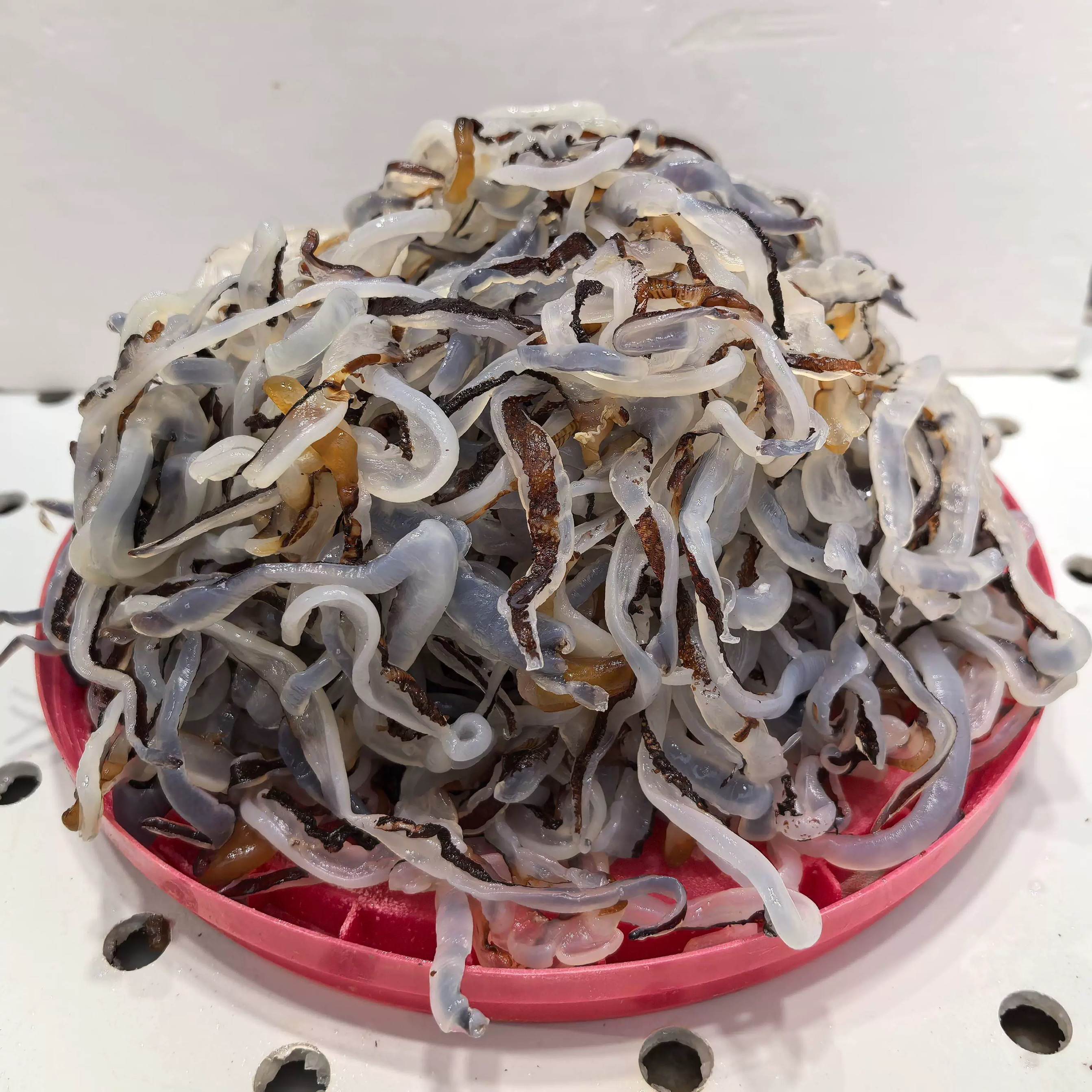 【哈特火】海蜇丝5斤