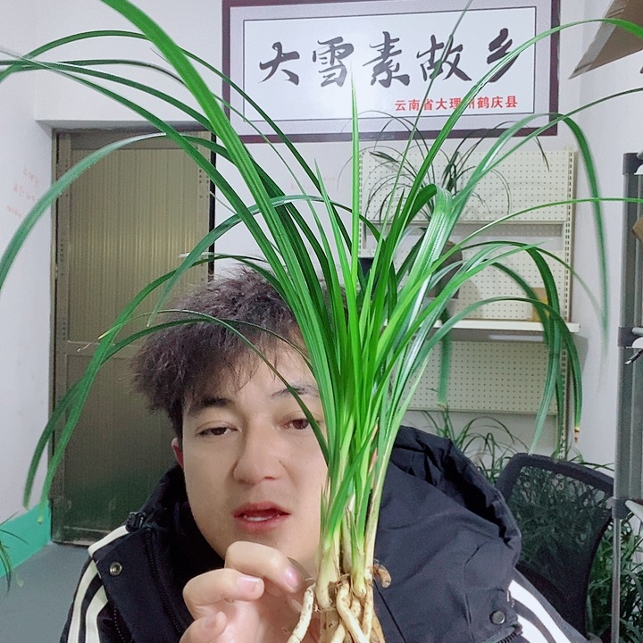 完全开放大大雪素