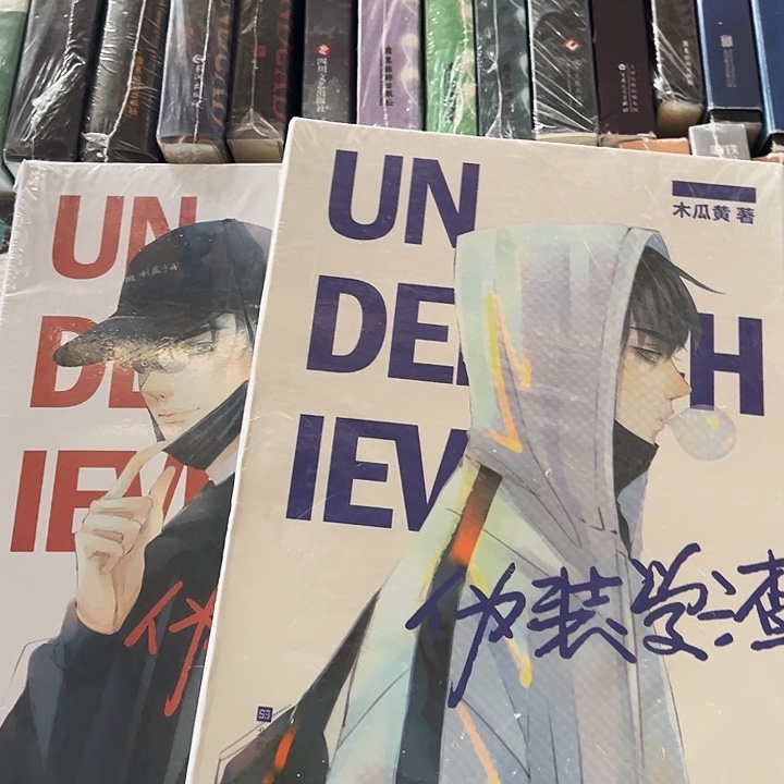 伪装学渣全新全套两本