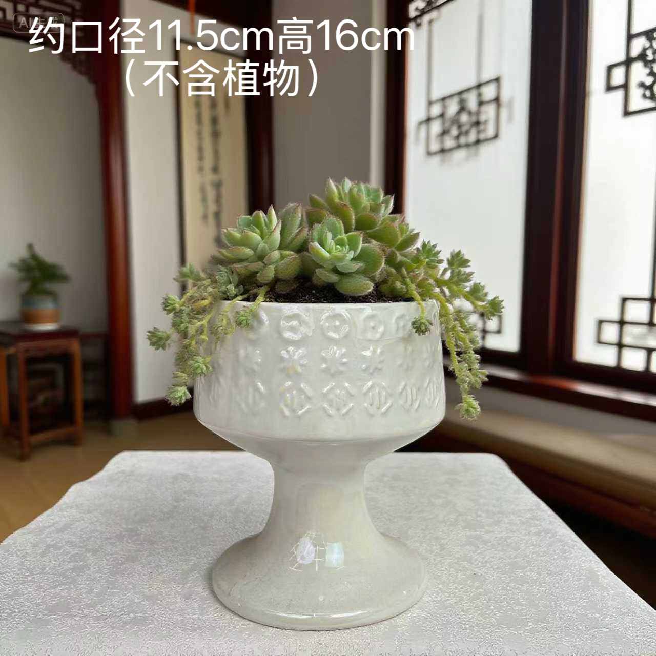 创意轻奢高脚透气多肉花盆适合法师蝴蝶兰等绿植