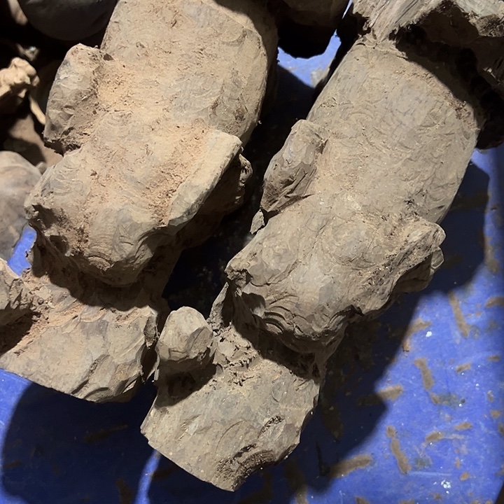 香榧木8888888888888