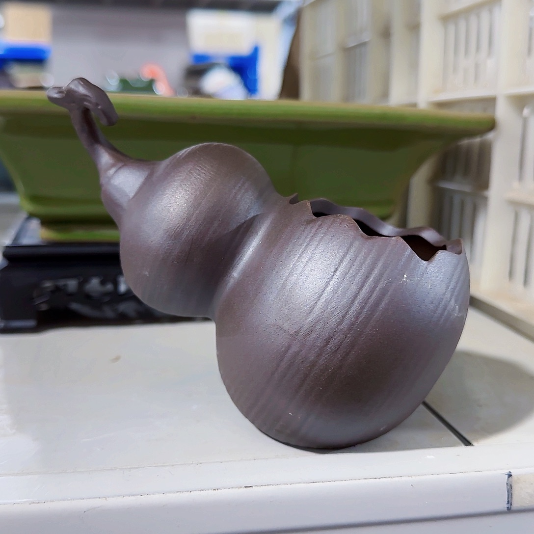 陶瓷花盆特价上新