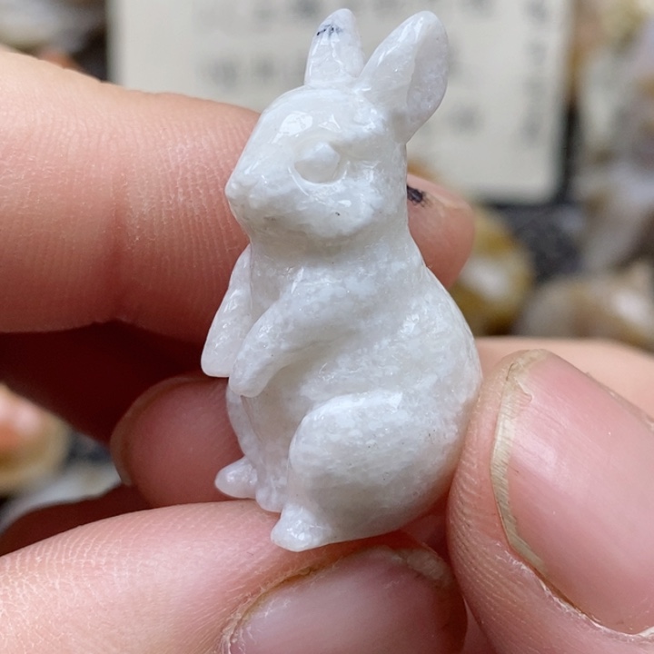 颈饰未镶嵌硅化珊瑚（珊瑚玉）