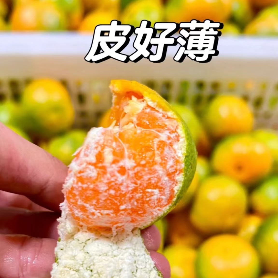 宫穿蜜橘一份约4斤