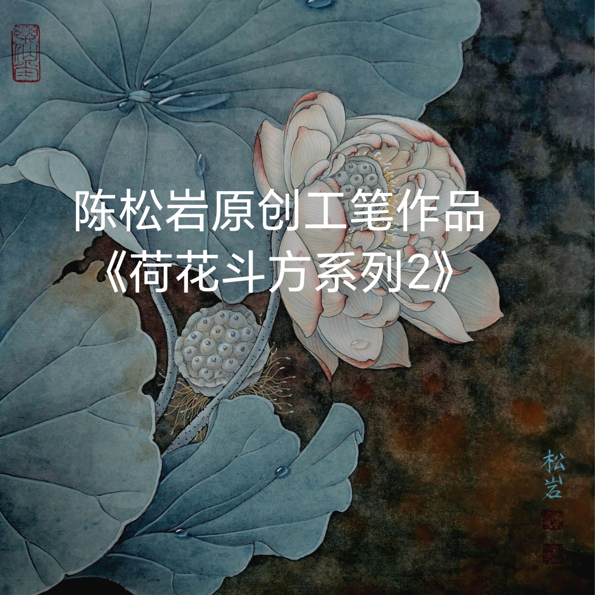 《荷花斗方系列2》共11讲 陈松岩原创工笔课