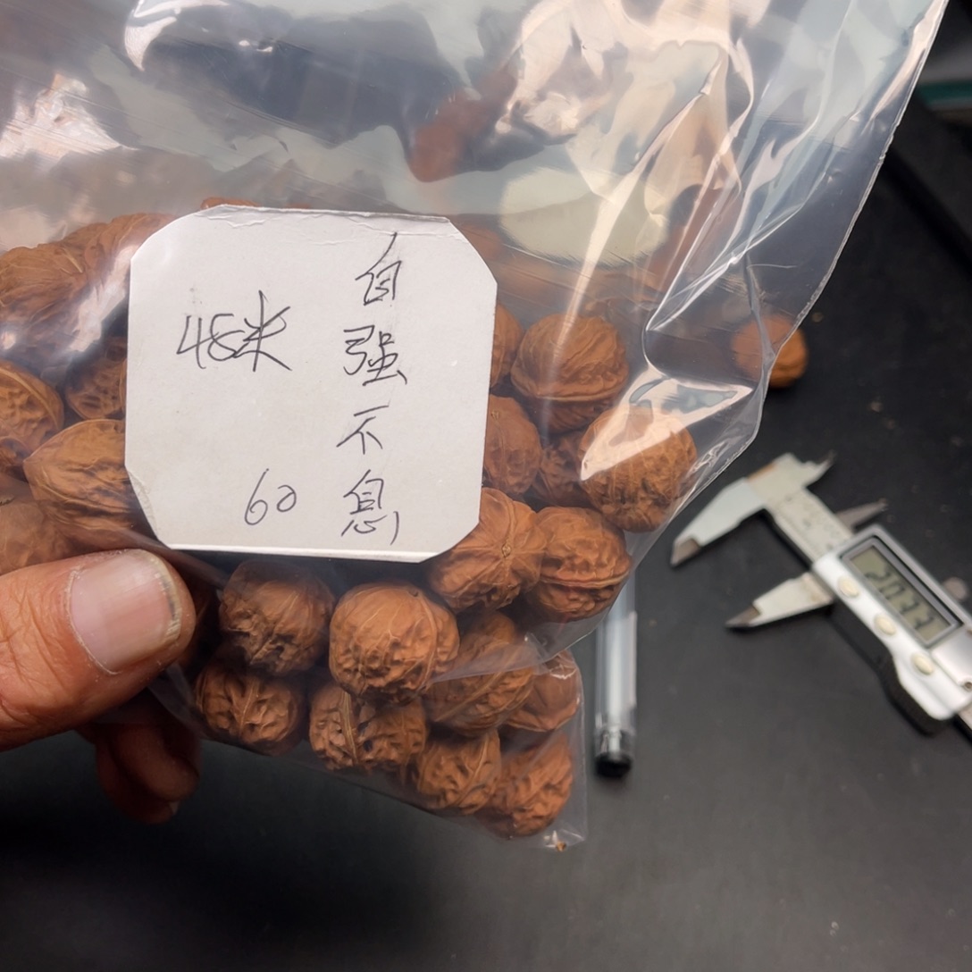 自***！野生小核桃60克48
