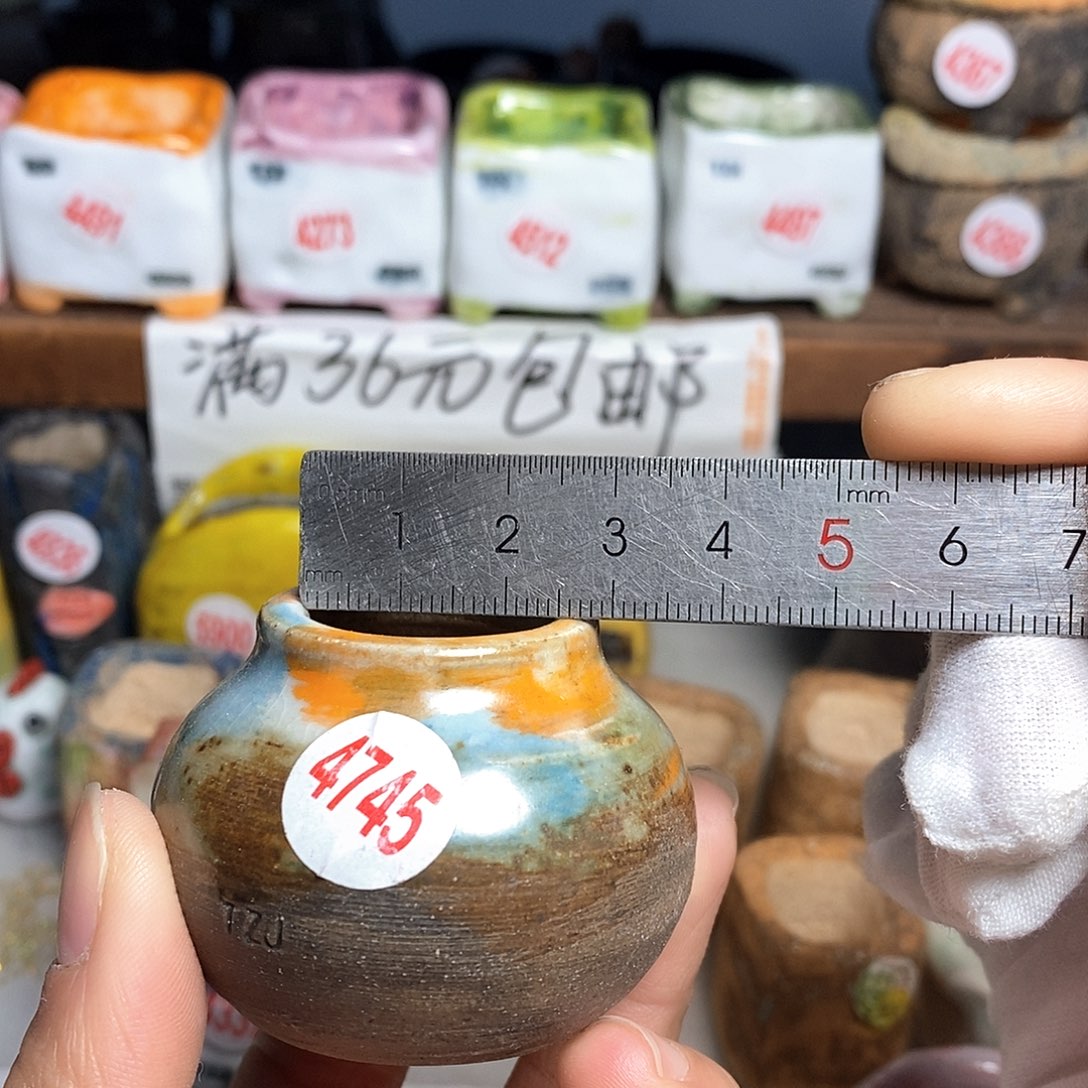 红陶拍5送一个小