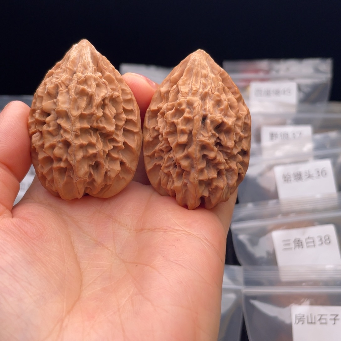 把件文玩核桃招财鼠（黄尖）不退换，介意勿拍