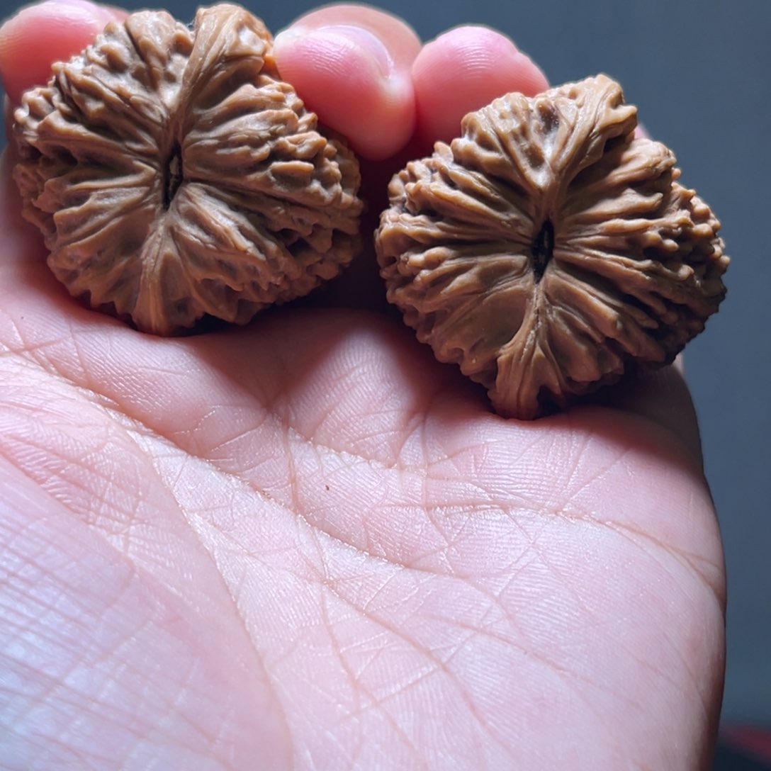 文玩核桃把件姜****辣南疆