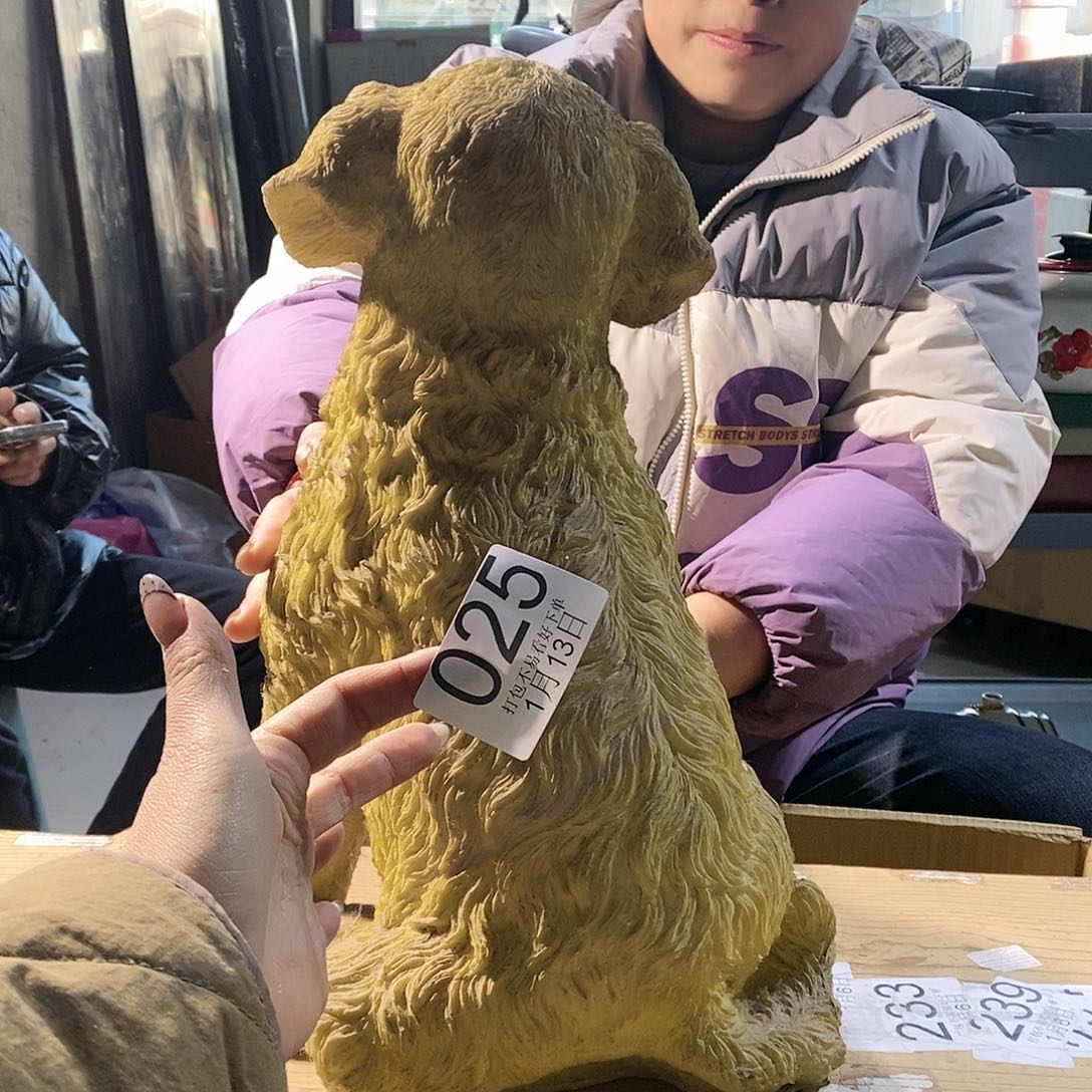 杯秘*卤丽江丽江丽江丽江丽江丽江啦