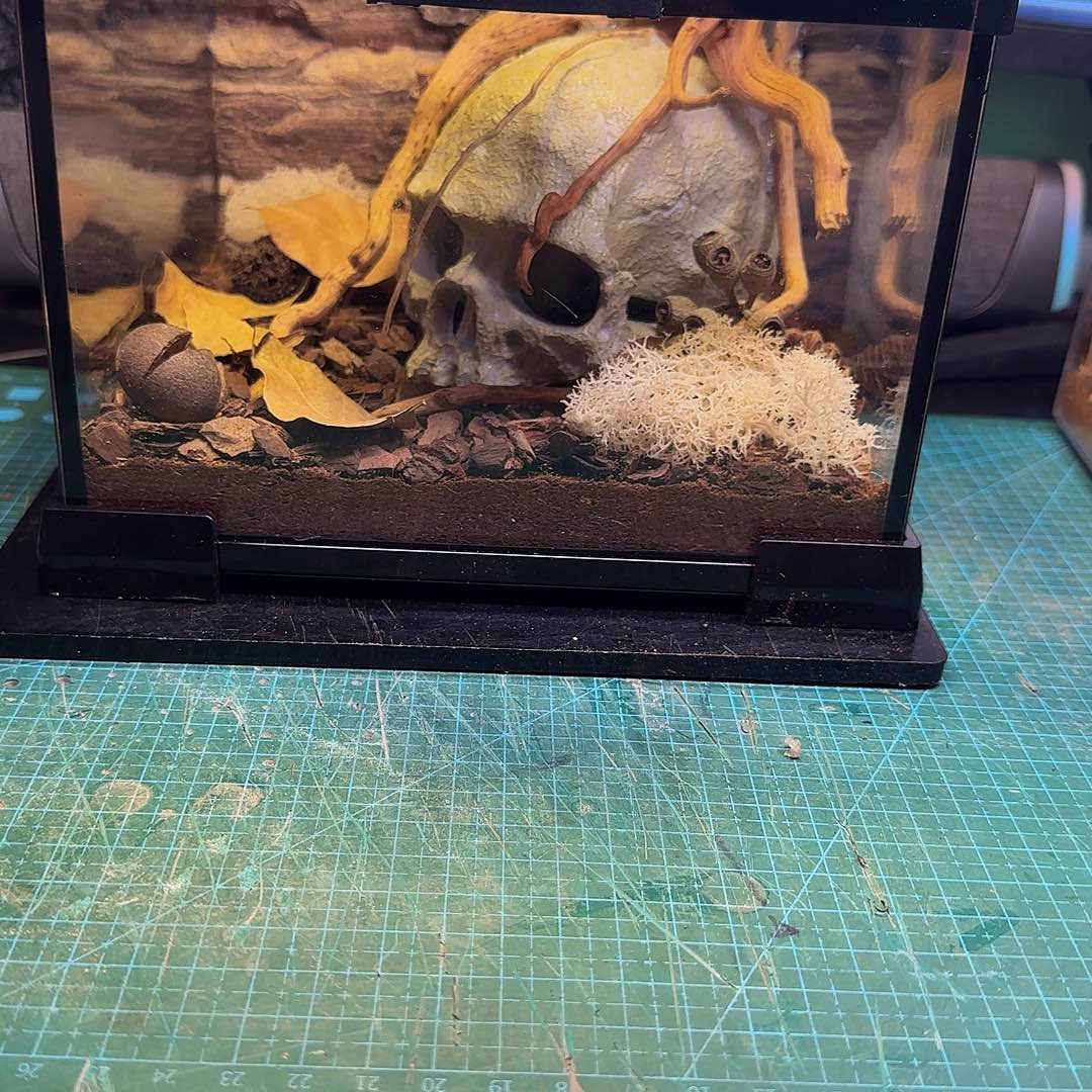 无花朵202015造景缸