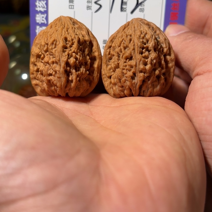 始***動高炮鹰嘴红皮涿鹿南疆石