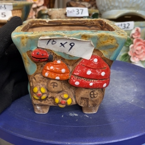 【闪购商品】红陶1