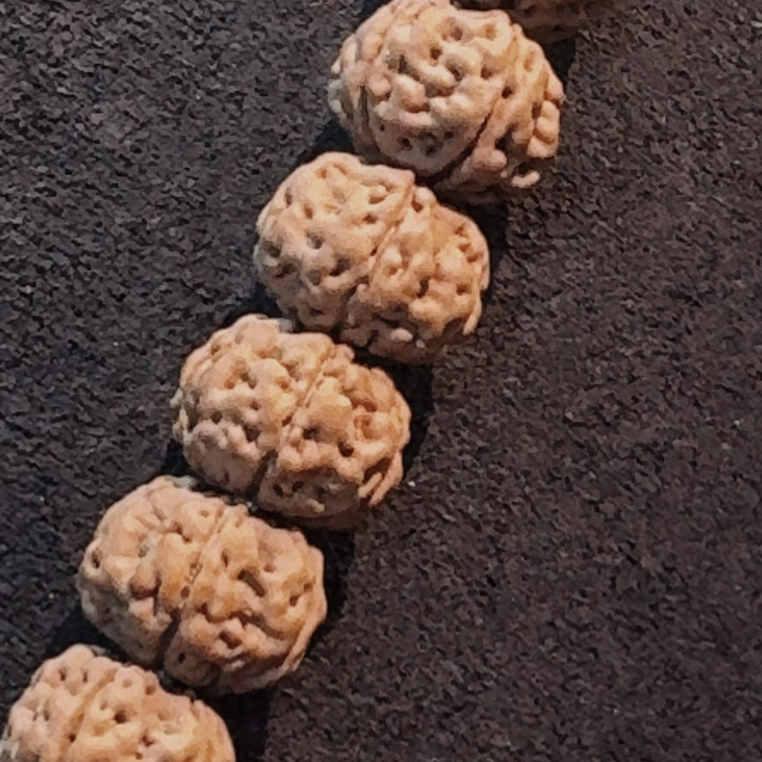 金刚菩提吊坠老树王新籽高货3张