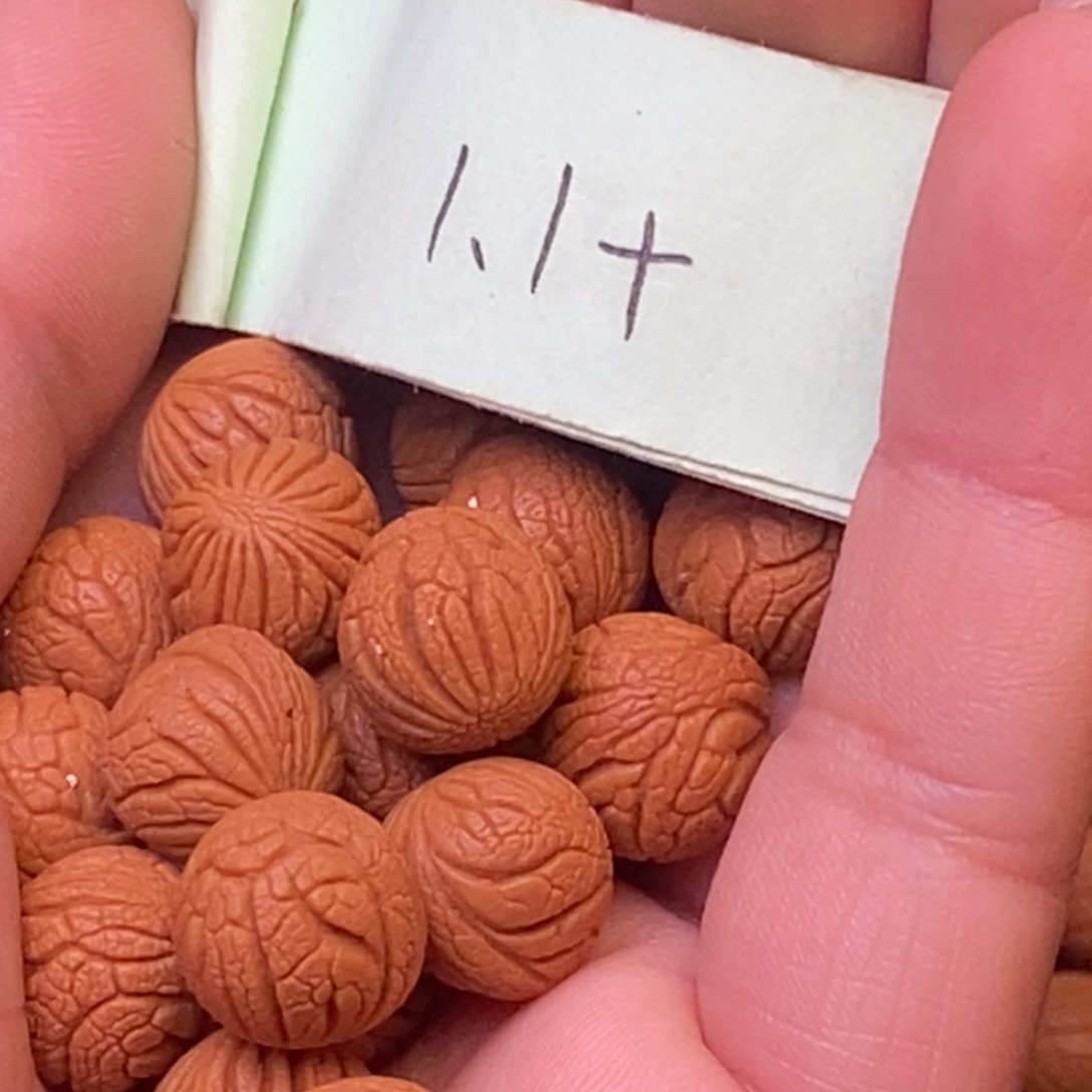 秦岭龙纹桃核21颗