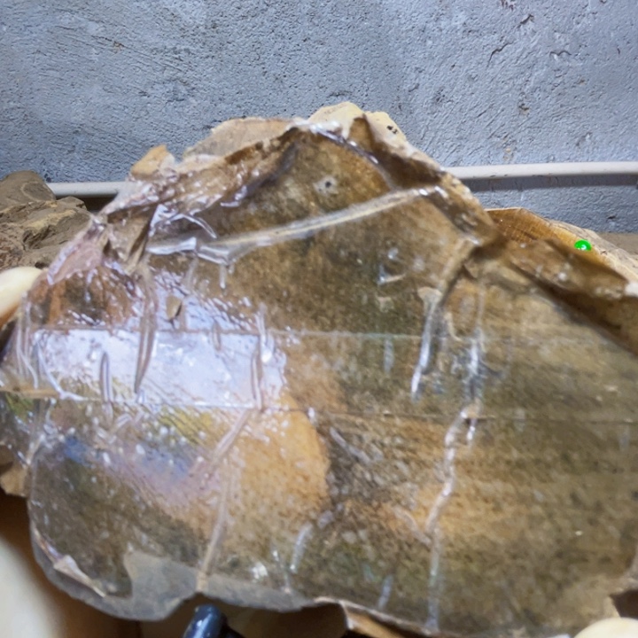 其他贡木定制产品不退不换