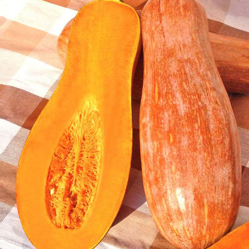 【老南瓜】-净重1500g