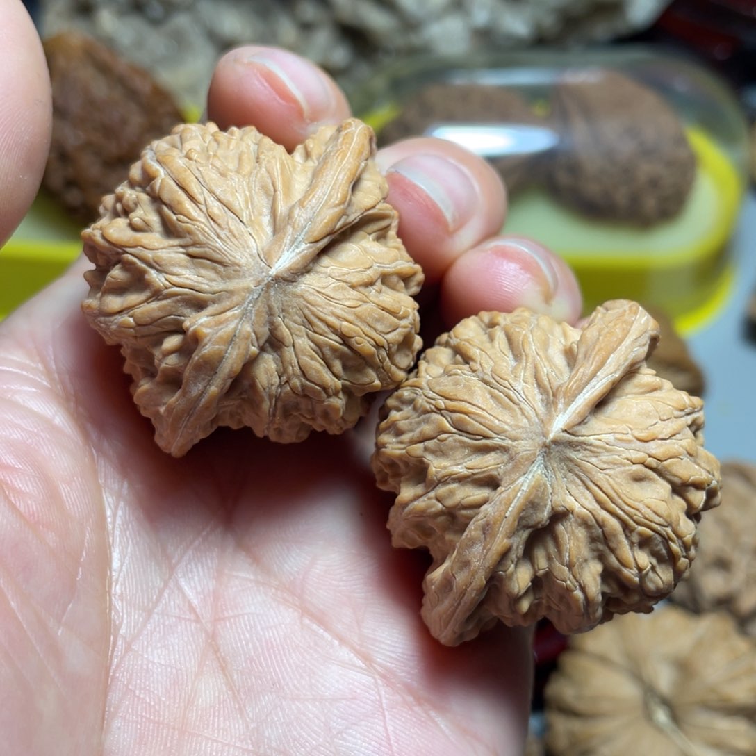 核桃手串/手链精品磨盘40加