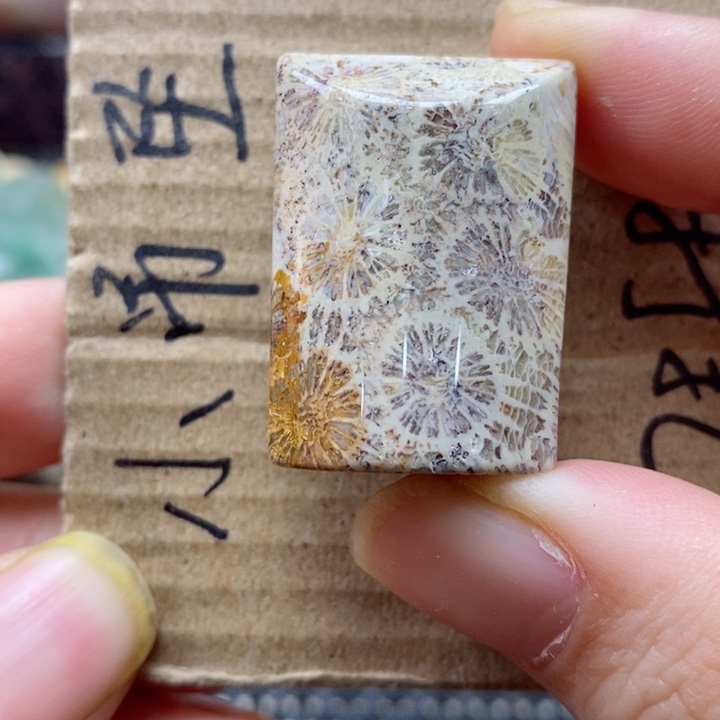 硅化珊瑚（珊瑚玉）颈饰未镶嵌