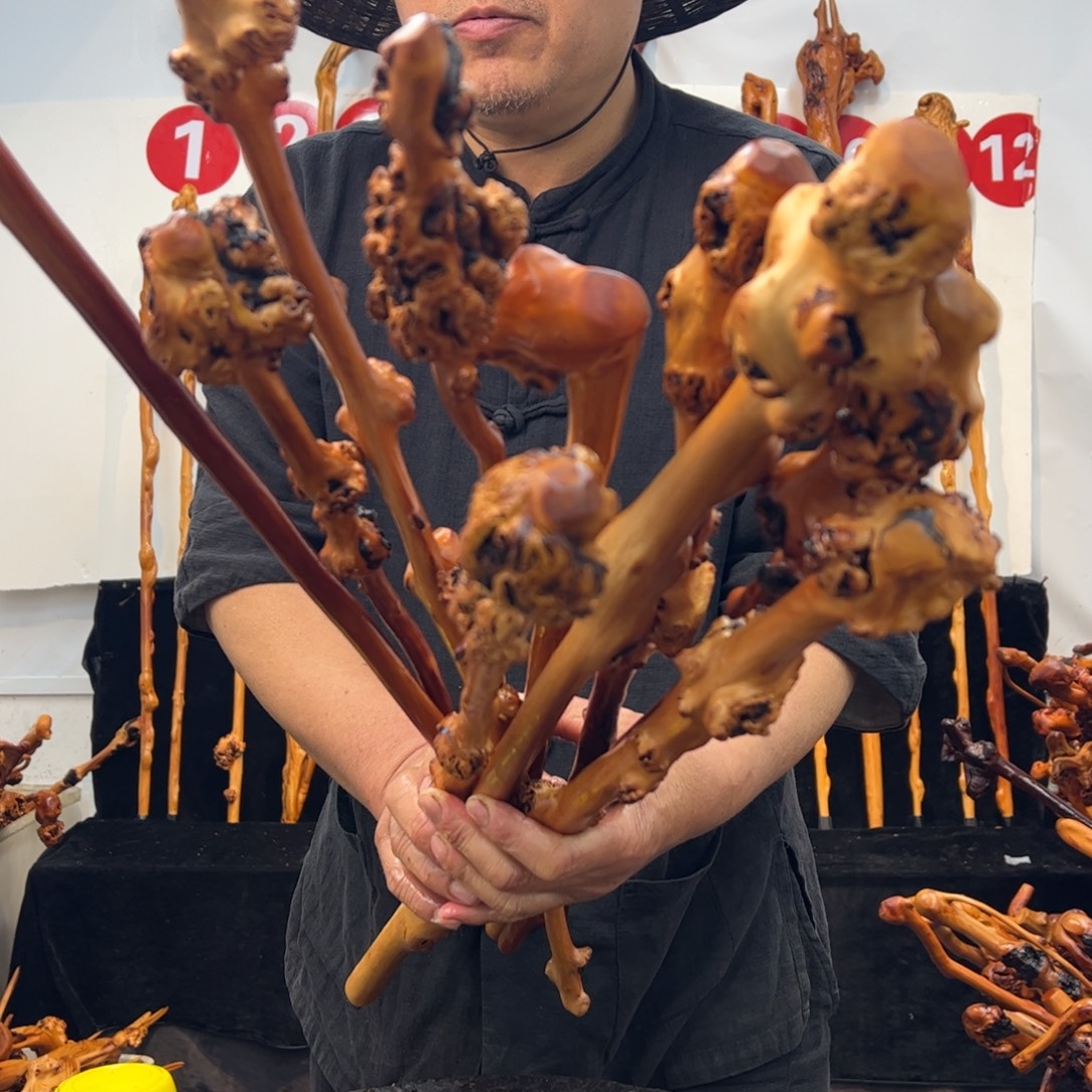 黑果木其他黑果木556