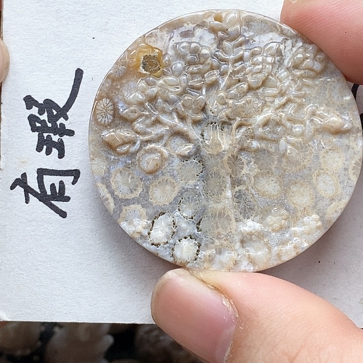 颈饰未镶嵌硅化珊瑚（珊瑚玉）