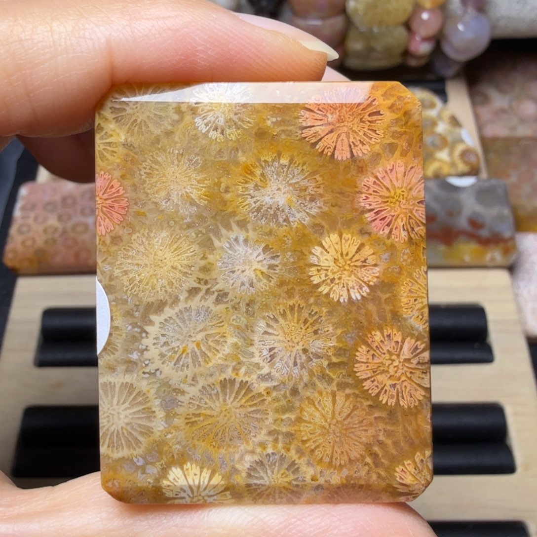 硅化玉未镶嵌黄红粉大花，可盘