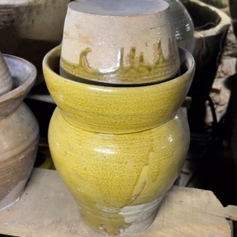 盆栽植物栽培管理