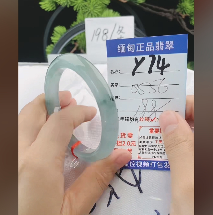 Y74缅甸翡翠手镯处理198/条【一物一证】实物以直播间为准