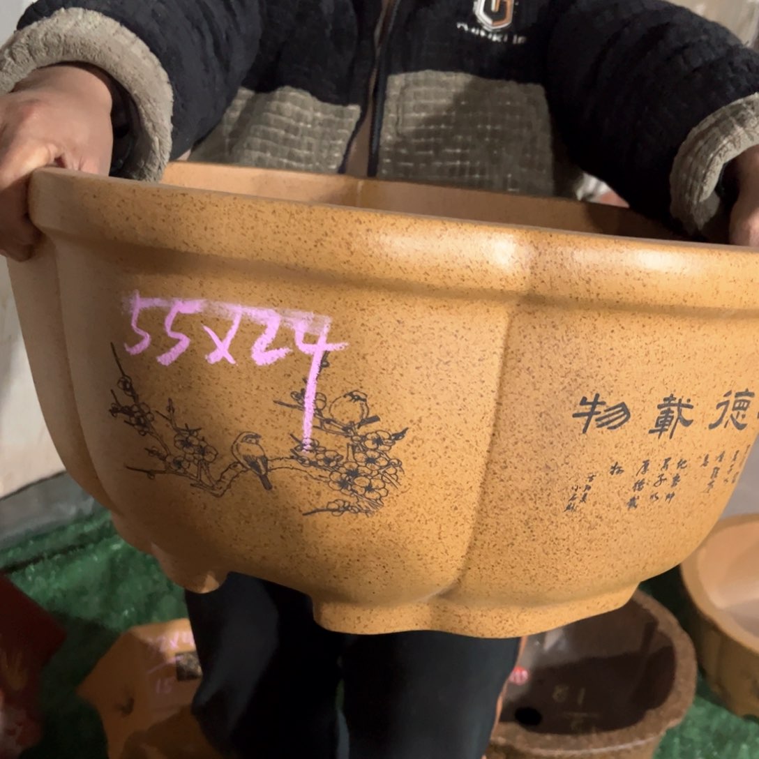 紫砂花盆紫砂花盆