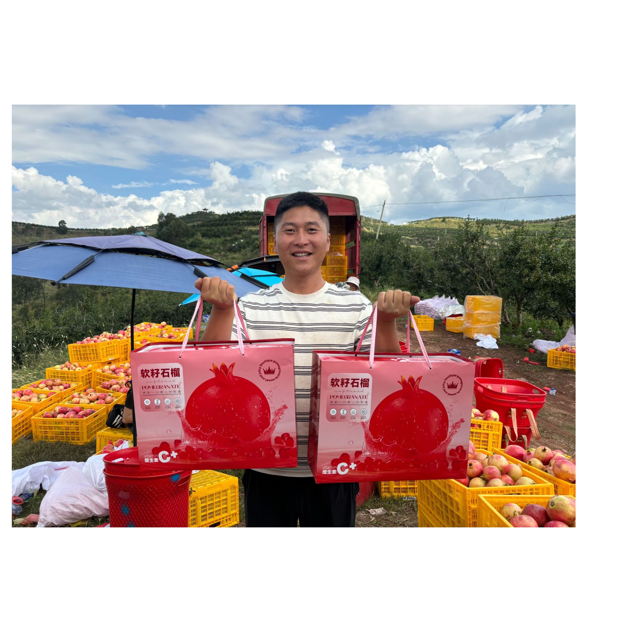 阿欢【石榴手提袋礼盒】送人高端水果四川会理软籽石榴纯甜无酸