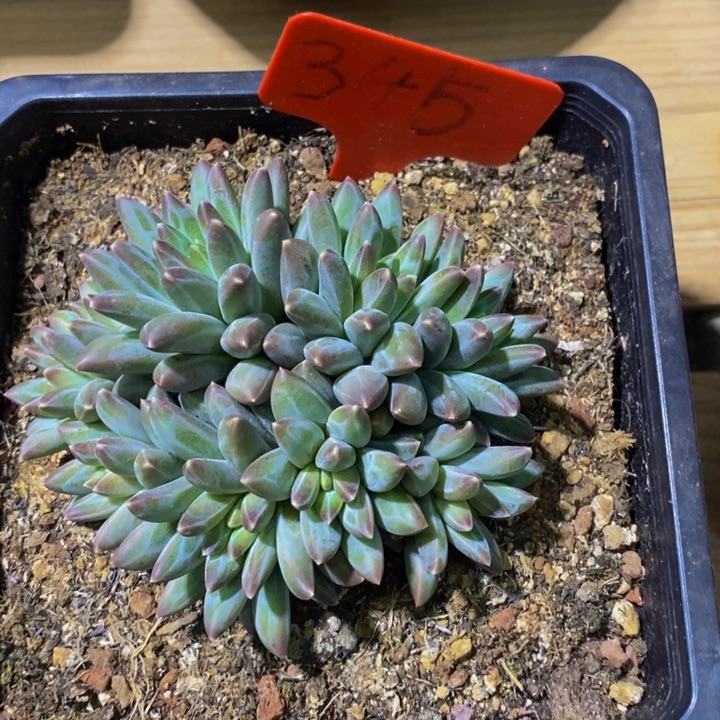 这么多事要我自己解决