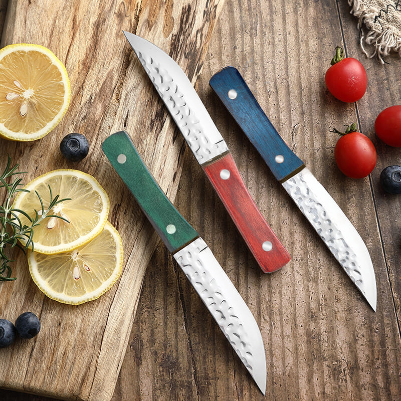 【江湖狼部落】家用水果刀西餐桌小刀1把手把肉便携户外烧烤
