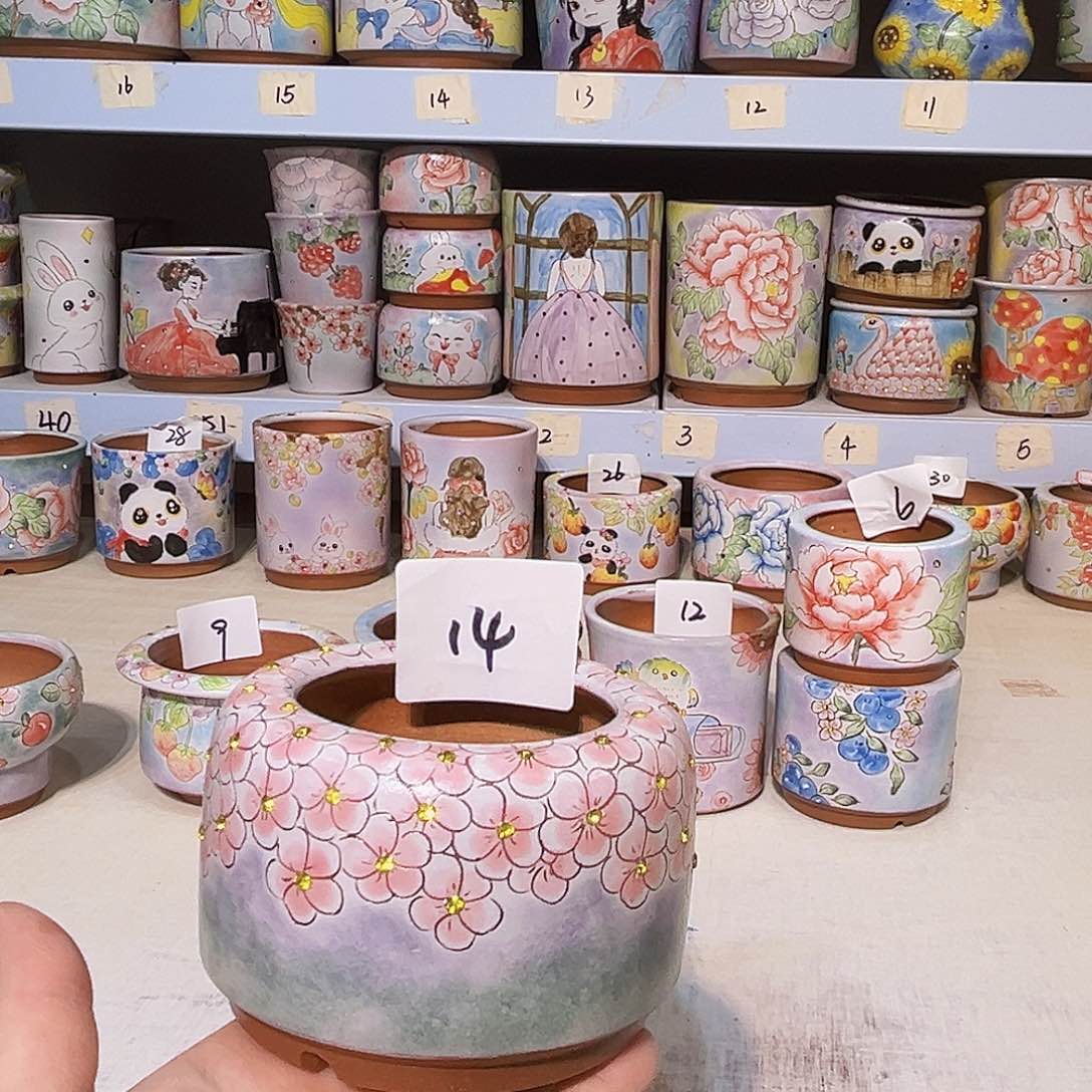 所见所得一物一拍14