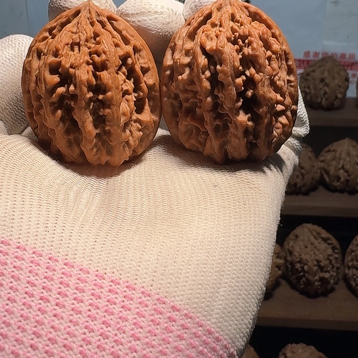 这***的秦岭野生无名鸡心