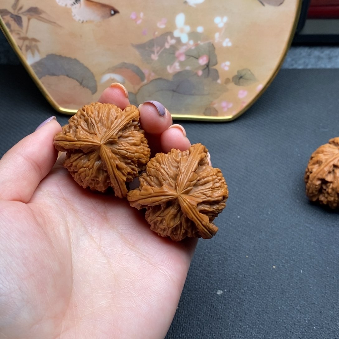 微*、白狮子111111111111