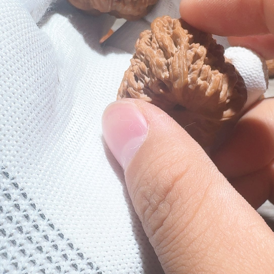 吊坠文玩核桃野生