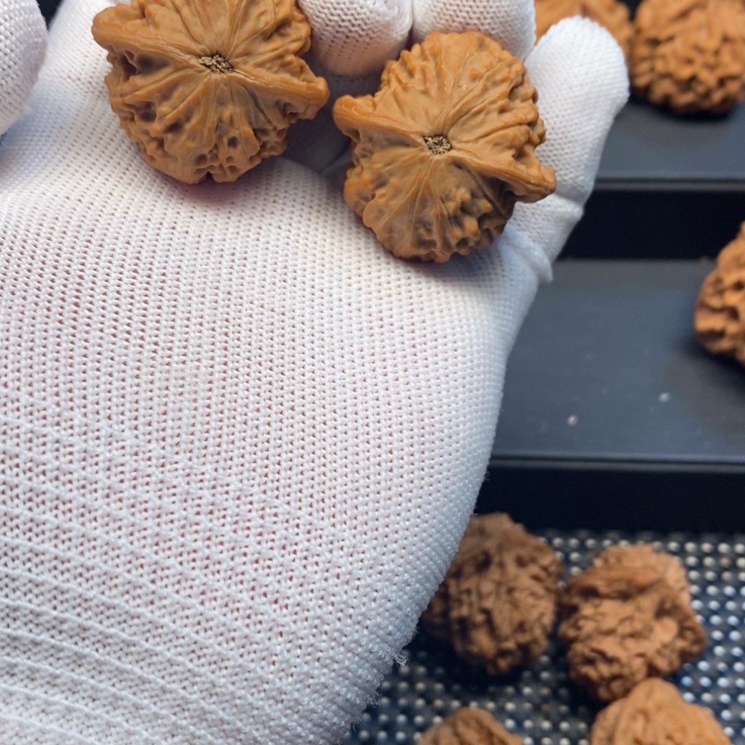 半***夏手串/手链核桃秦岭南北区有什么地方需要