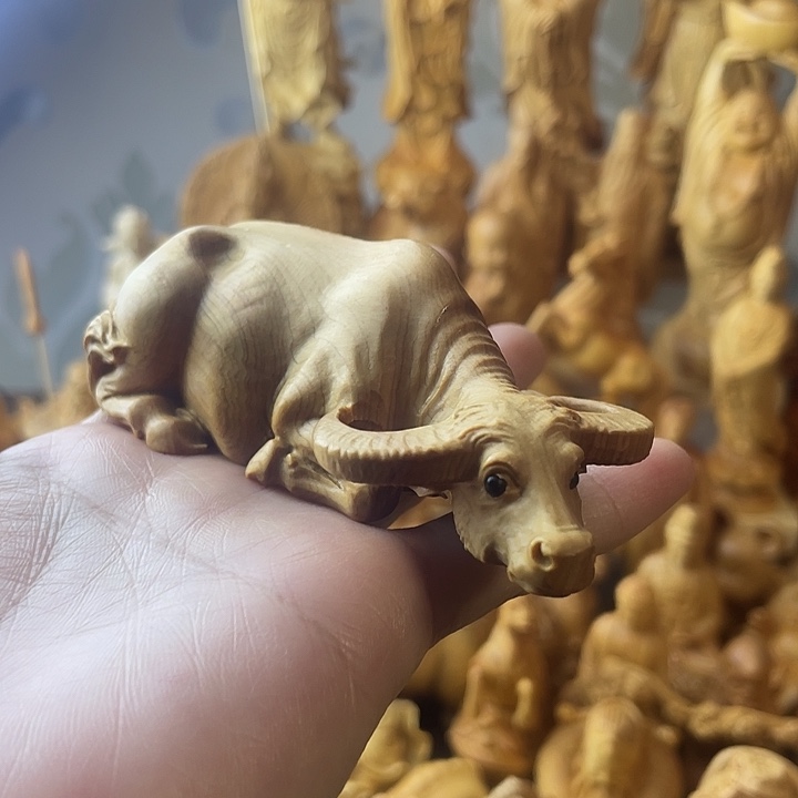 柏木（崖柏）崖柏卧牛长10公分