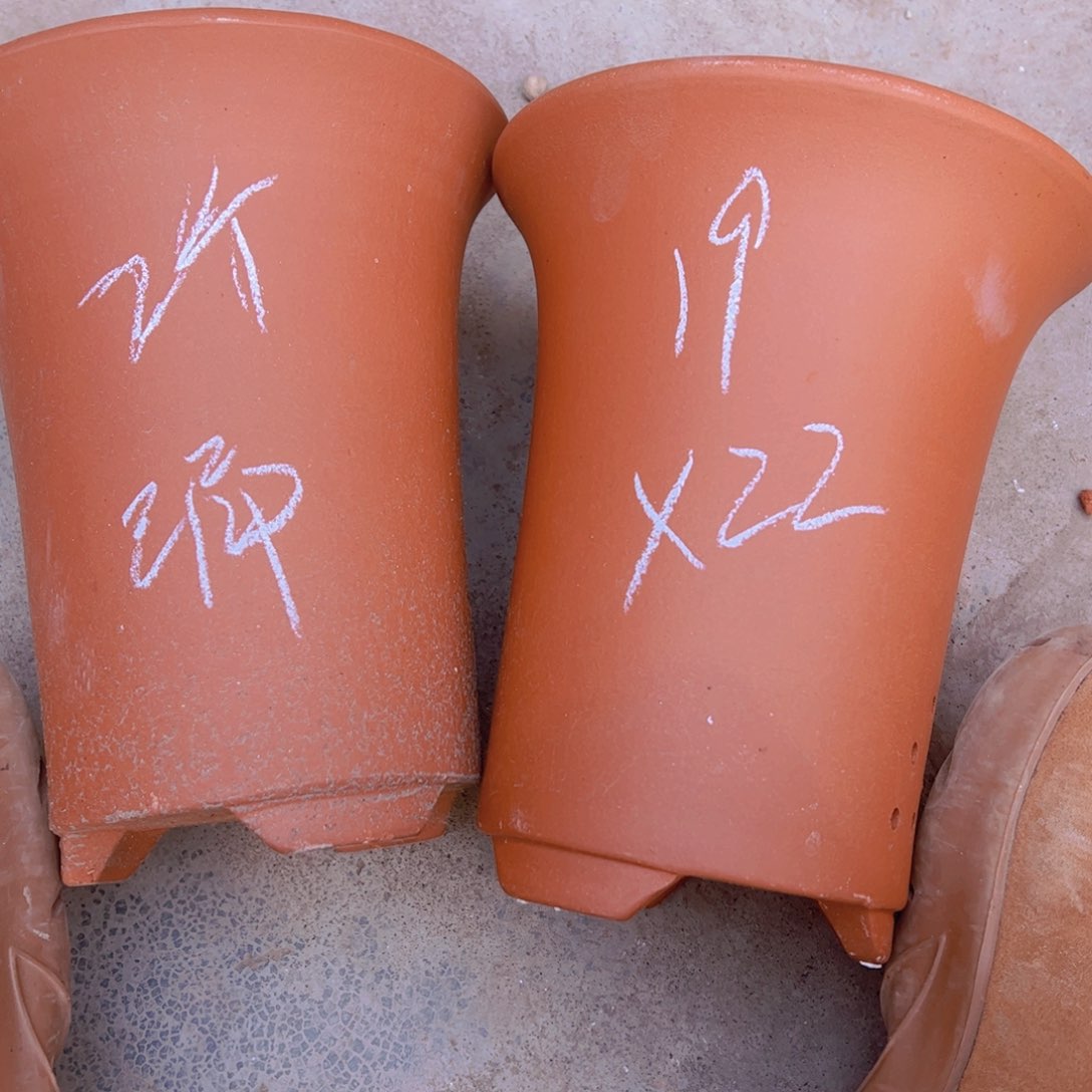 紫砂33………………………………