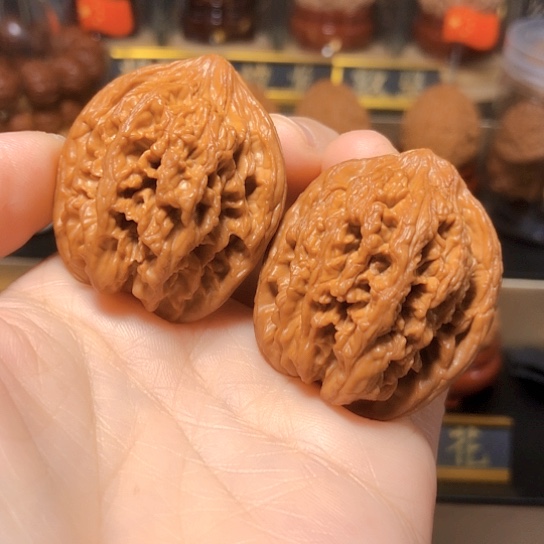 精品九龙筋：手捻