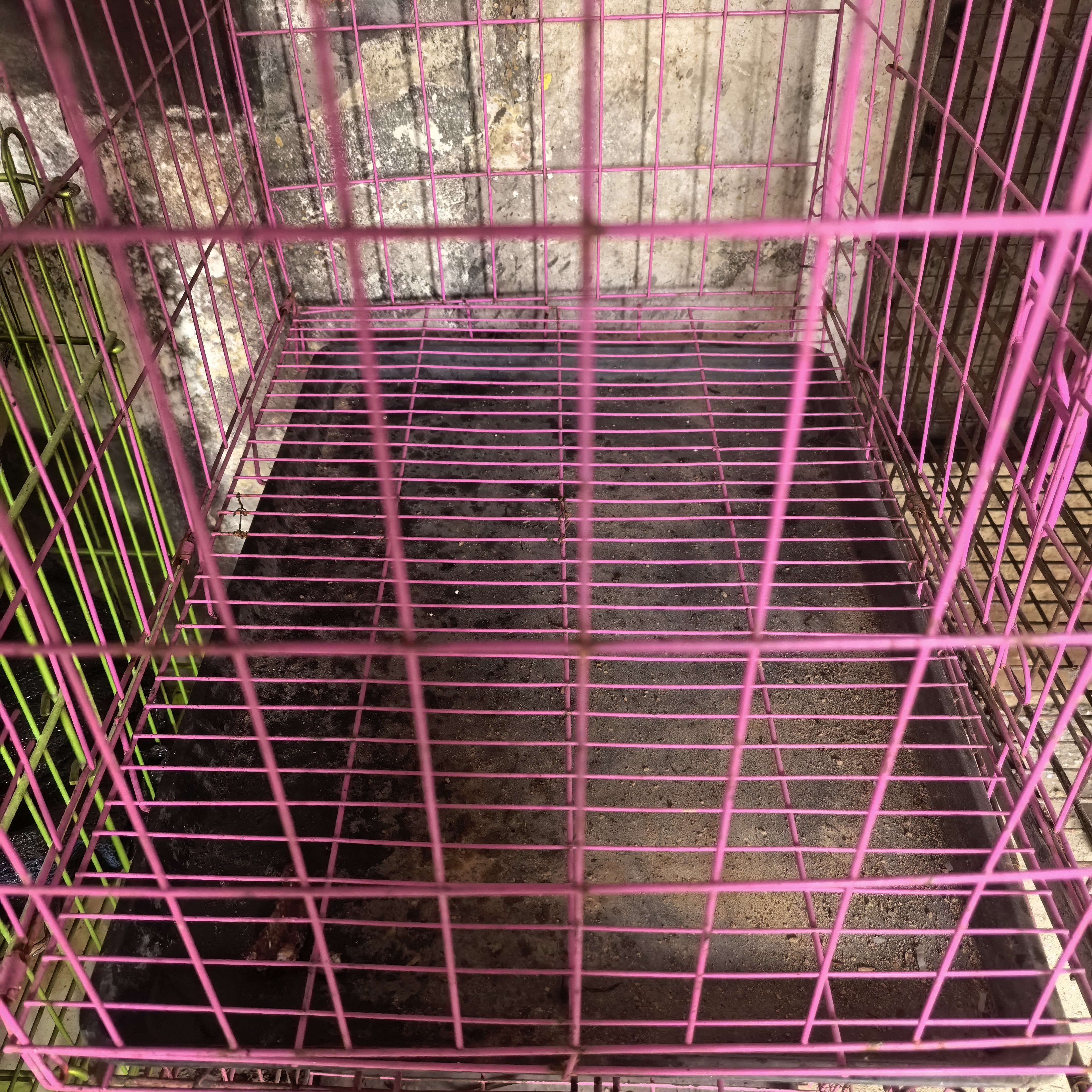 大中小型犬猫通用带厕所室内宠物笼子适合泰迪柯基等
