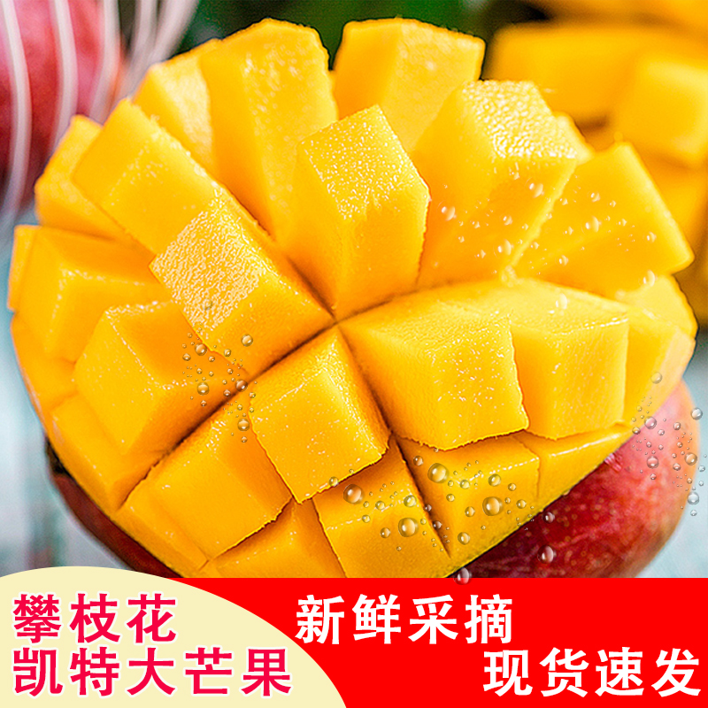 正宗攀枝花凯特芒果食用香甜多汁大青芒产地直发精选当季新鲜水果