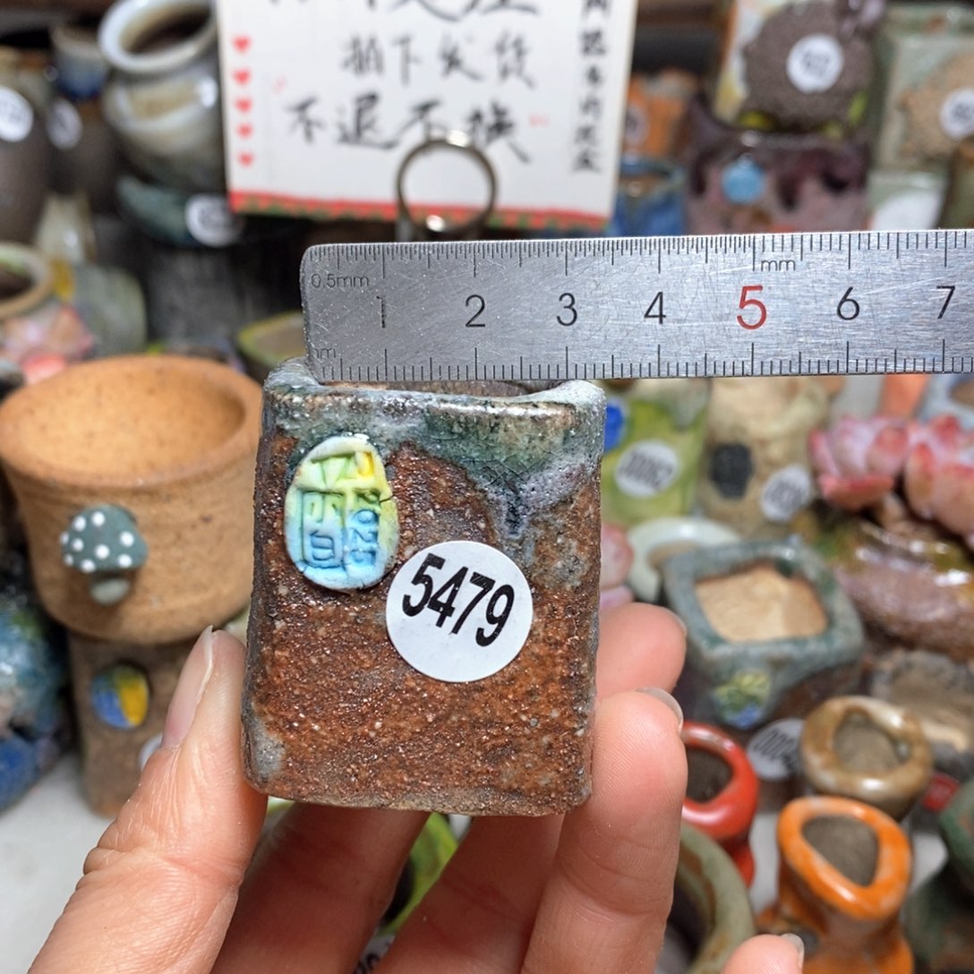 花盆拍3送一个小礼物