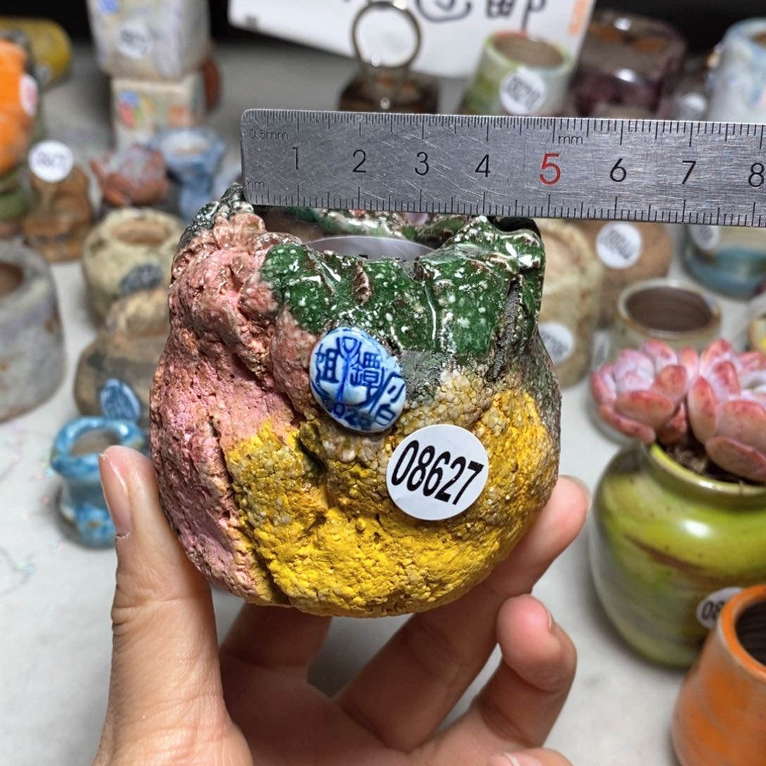 花盆拍3送一个小礼物