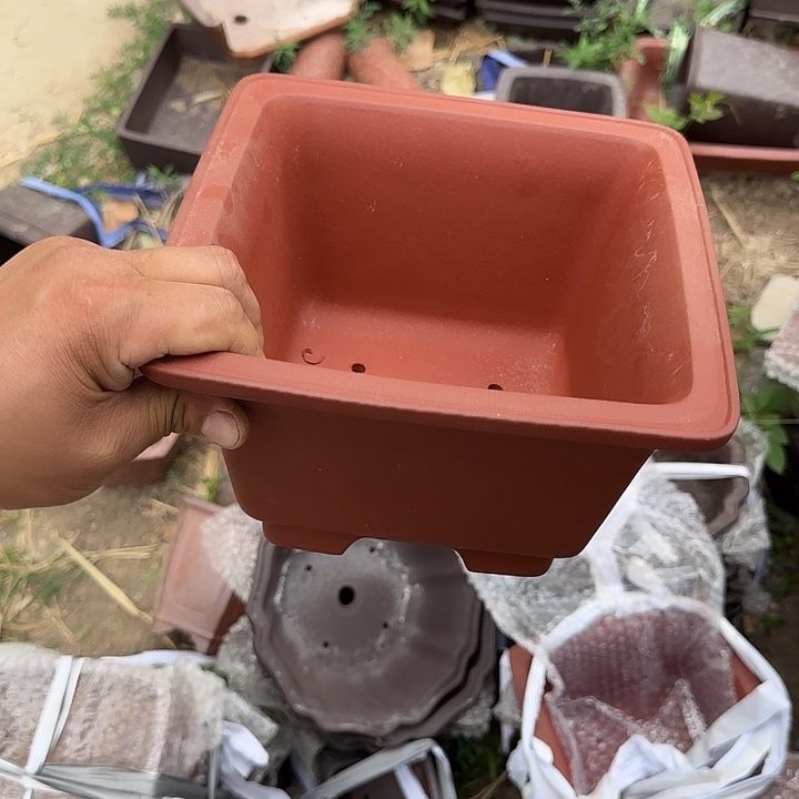 是一个不知名作家与著名导演