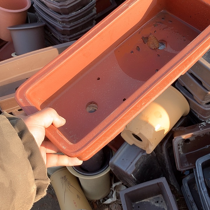 紫砂我要努力赚钱给