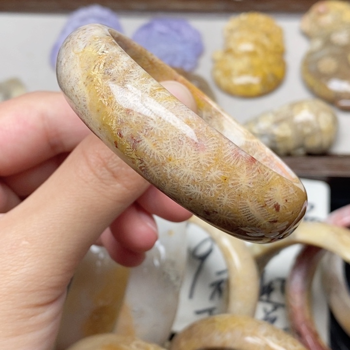 硅化珊瑚（珊瑚玉）未镶嵌手镯53.8