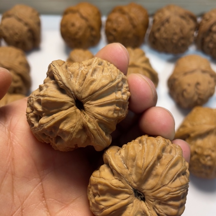 当***巴大叶紫檀（黑酸枝木类）